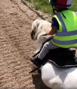 Thursday Video: You Can Do It, Cuddles!