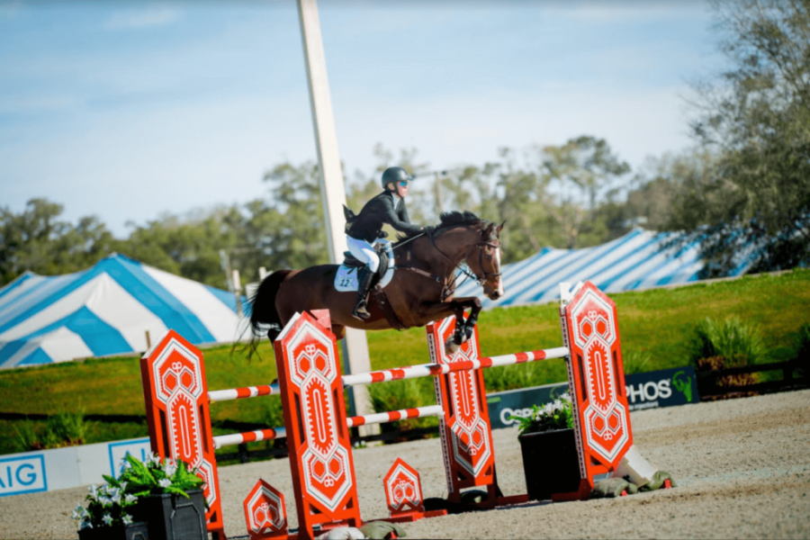 Best of JN 10 Equine Insurance Questions Answered HORSE