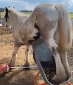 Thursday Video: You Gotta Do What You Gotta Do