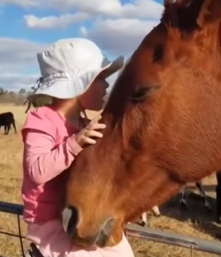 Friday Feels: A Girl and Her Horse