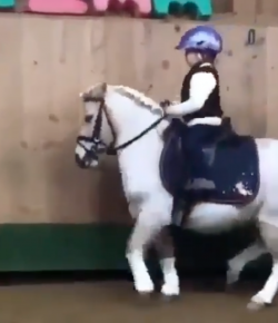 Mind Your Melon: The Cutest Melon Minder Around