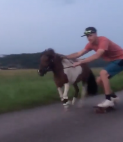 Thursday Video: Ponies and Skateboarding