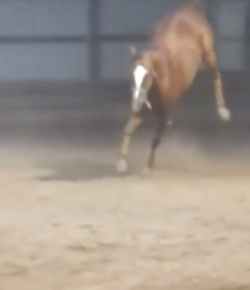 #TGIF: Barging Into the Weekend