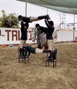 Mind Your Melon: Don’t Try This At Home