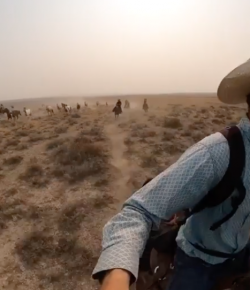 Thursday Video: Should’ve Been a Cowboy