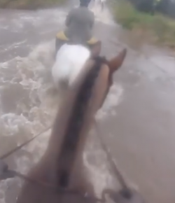 Mind Your Melon: Field Hunting