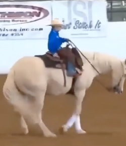 Thursday Video: Pint-Sized Reiner