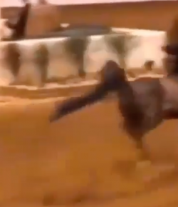 #TGIF: Sprinting for the Door