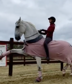 Mind Your Melon: Extension