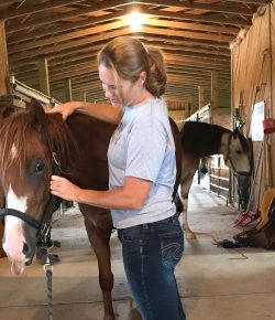Horses Tell No Lies: 8 Observations of an Equine Body Worker
