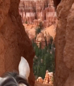 Wednesday Helmet Cam: A Stunning View