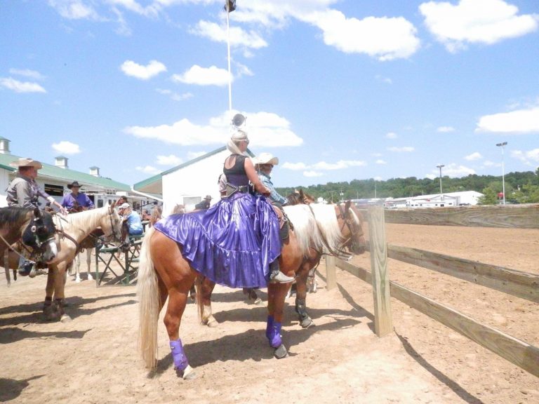 What Colors Look Best on My Horse? HORSE NATION