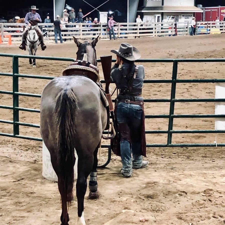 What Colors Look Best on My Horse? HORSE NATION