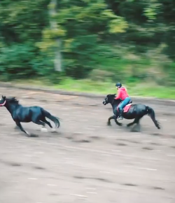 Mind Your Melon: Ride With a Friend