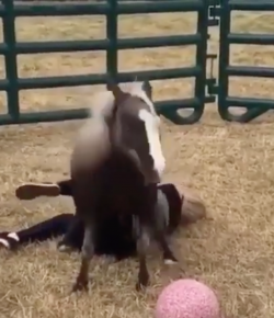 ‘Oh Crap’ Monday: Have a Seat