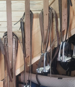 #NoStirrupNovember Social Media Roundup