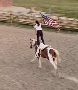 Veteran’s Day Video