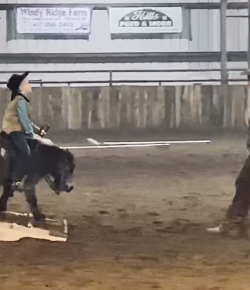 Thursday Video: World’s Smallest Ranch Horse