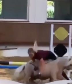 ‘Oh Crap’ Monday: Expectation vs. Reality