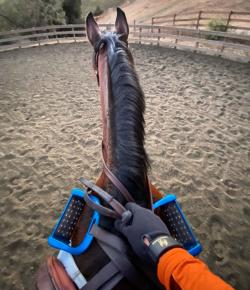 #NoStirrupNovember Social Media Roundup: Week 2.5