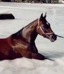 #TGIF: Live Your Best Life…