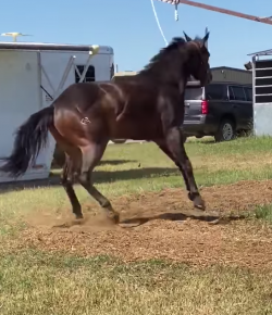 ‘Oh Crap’ Monday: Making Things Harder Than Necessary