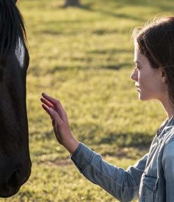 Movie Review: Black Beauty (2020)