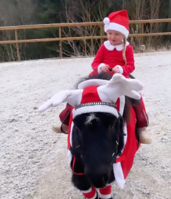 Thursday Video: Most Wonderful Time of the Year