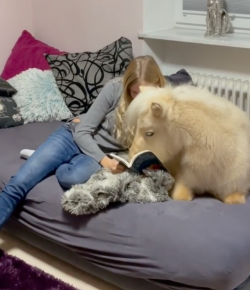 Friday Feels: The Best Pony Ever