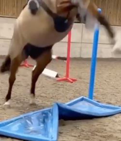 ‘Oh Crap’ Monday: Overreacting