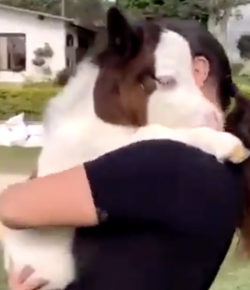 Friday Feels: How To Cuddle a Mini Horse