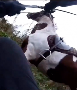 ‘Oh Crap’ Monday: Expect the Unexpected