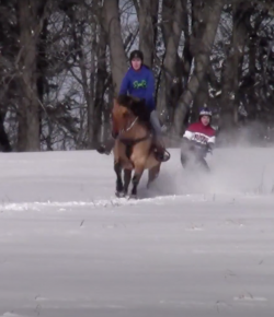 Mind Your Melon: Snowboarding