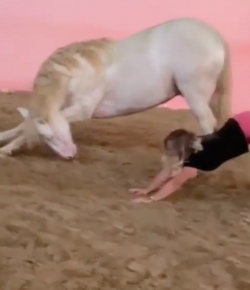 Thursday Video: Couples Yoga