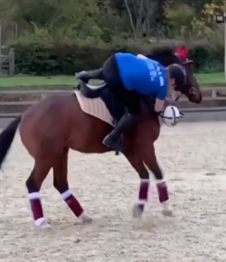 ‘Oh Crap’ Monday: Things Were Going So Well…