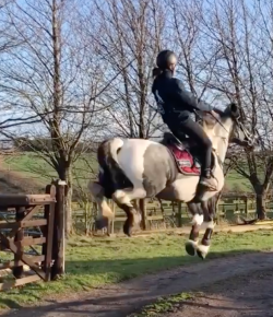 2020 Readers’ Choice Awards: ‘Oh Crap’ Moment of the Year