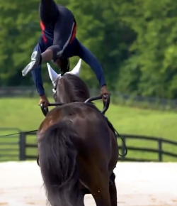 Thursday Video: Flying High…