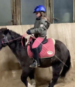 Mind Your Melon: Pony Lessons