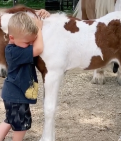 Friday Feels: You’ve Got a Friend in Me