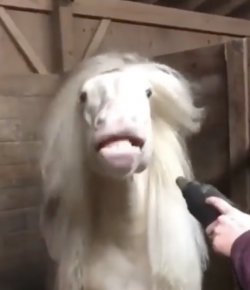 Thursday Video: Catching Some Air