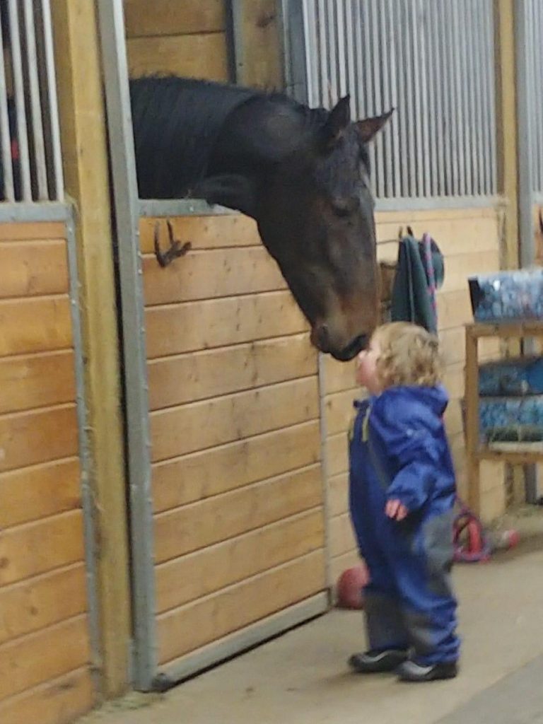 Reader Photo Challenge Horse Snuggles HORSE NATION