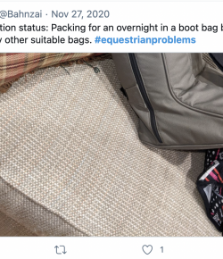 13 #EquestrianProblems According to Twitter