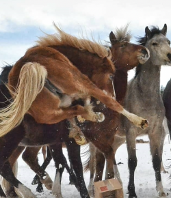 #TGIF: Going Into the Weekend Full Force