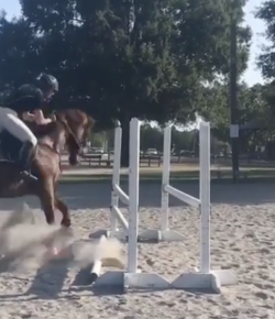 ‘Oh Crap’ Monday: Nope!