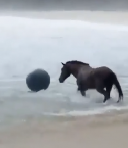 #TGIF: Have Some Fun This Weekend