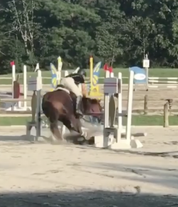 ‘Oh Crap’ Monday: Denial