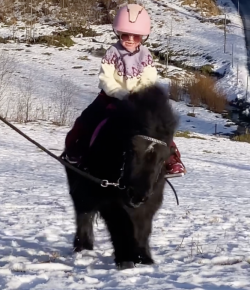 Mind Your Melon: Learning To Canter