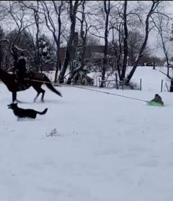 #TGIF: Play in the Snow