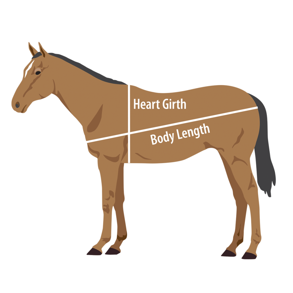 Kentucky Performance Products How To Weigh Your Horse HORSE NATION