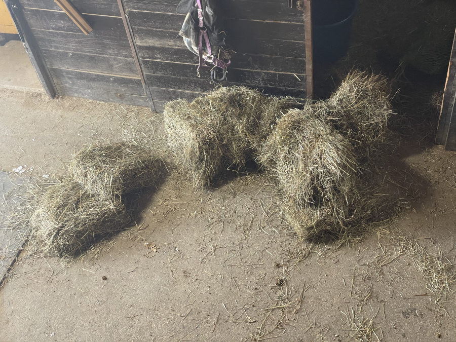 ‘Oh Crap’ Monday Exploding Hay Bales LaptrinhX / News